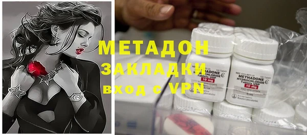 шишки Ельня