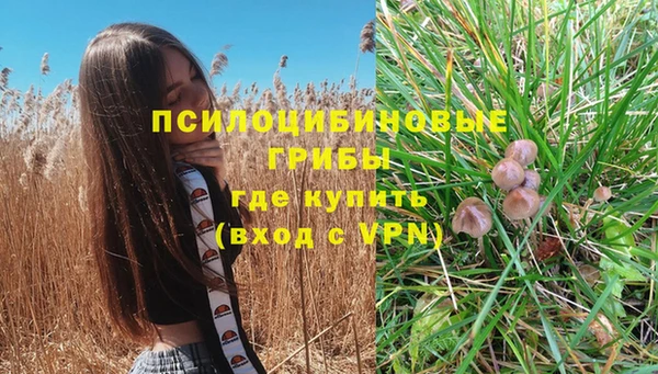 скорость Елабуга