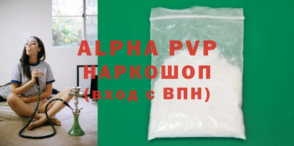индика Елизово